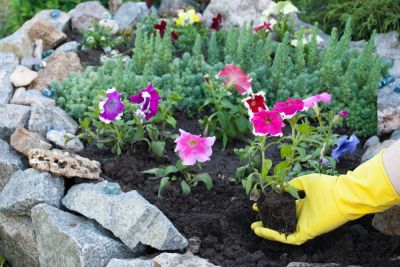 Improves landscape aesthetics