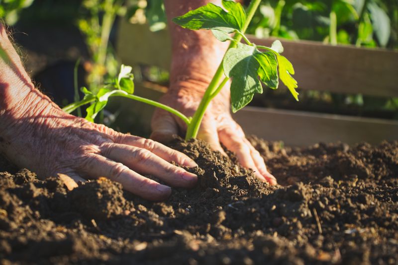 Flower Bed Maintenance Costs — Cost of Flower Bed Maintenance