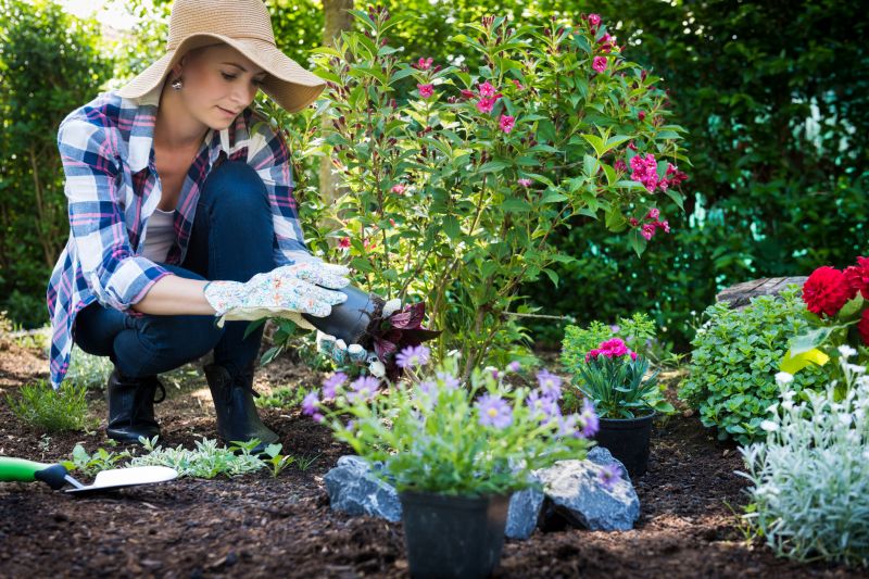 Perennials Planting in Ventura County, CA